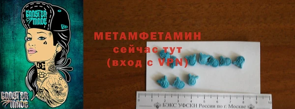 ГАЛЛЮЦИНОГЕННЫЕ ГРИБЫ Заволжье