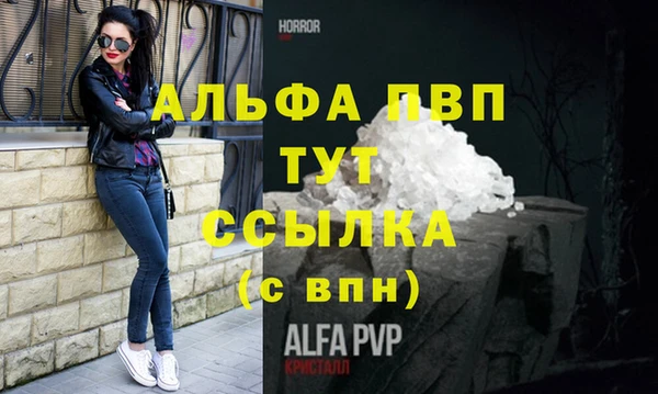 ГАЛЛЮЦИНОГЕННЫЕ ГРИБЫ Заволжье