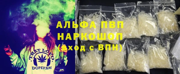 ГАЛЛЮЦИНОГЕННЫЕ ГРИБЫ Заволжье