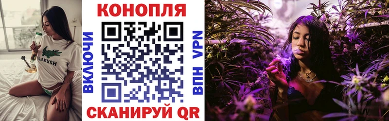 Каннабис Amnesia  Купить  Новоузенск 